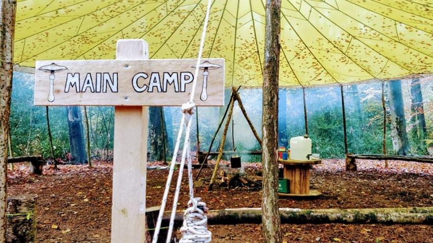 TRIBE Woodland Wellness - for mental wellbeing