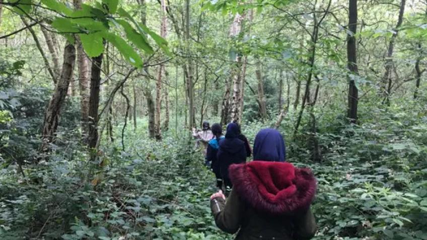 Wild Things Ecological Education Collective.