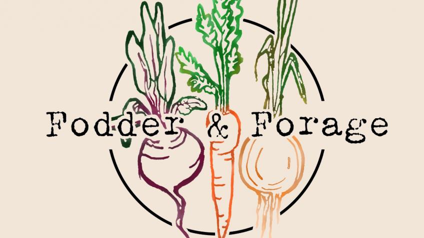 Fodder & Forage helping households reduce waste!