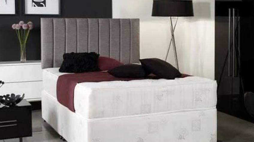 get ellie a new bed