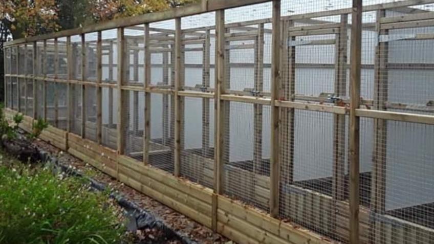 MAXIMUS MEADOWS - HELP US BUILD OUR NEW CATTERY