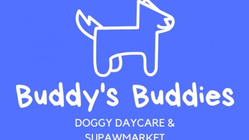 Helping Buddy's find the best toys for the dogs!