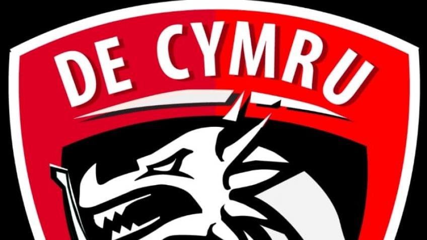 SOUTH WALES HURLING CLUB
