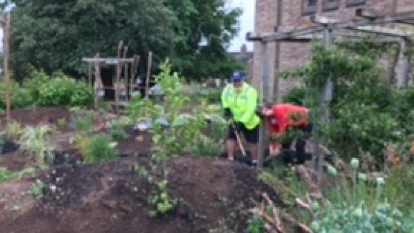 Community Garden Project