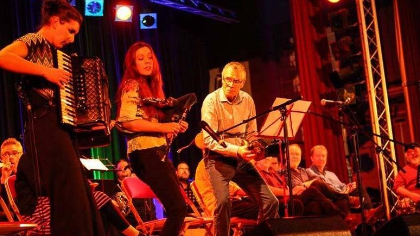 Support Hartlepool Folk Festival