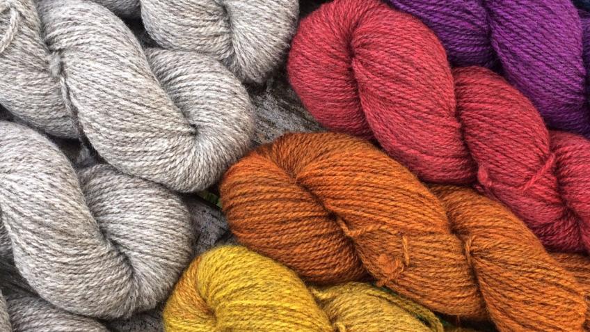 Help us spin our Single Flock Welsh Wool yarn!