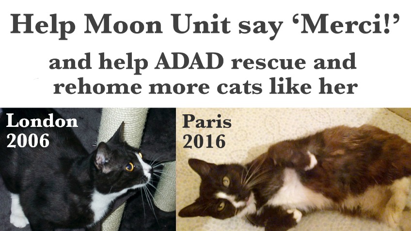Help Moon Unit say merci!