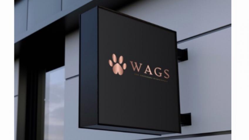 WAGS A Dog Groomer helping others into work