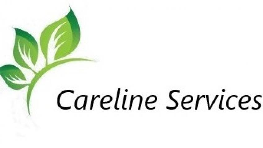 Careline Services (Domiciliary Care Company)