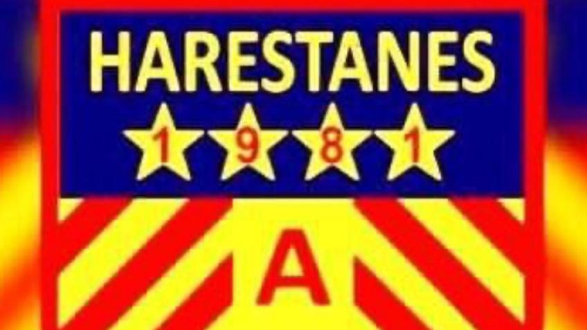 Harestanes AFC Academy & Community Programs Set-up
