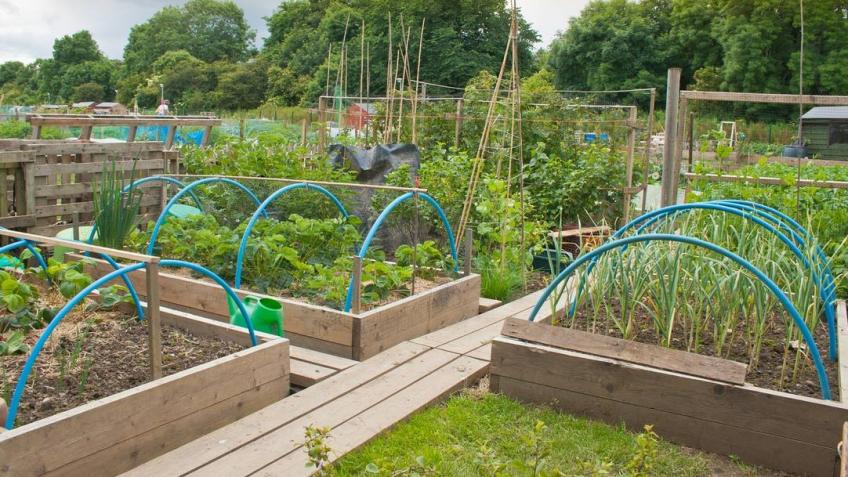 The Organic Community Foodbank