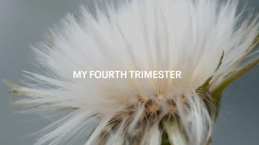 My Fourth Trimester - parenting made easy