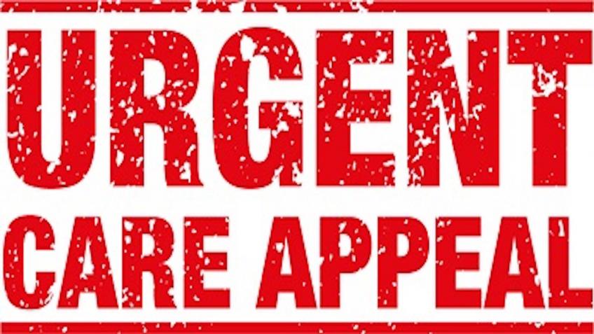 Owl Rescue Emergency Covid-19 Appeal