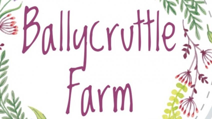 Ballycruttle Farm Zero Waste Refill Shop