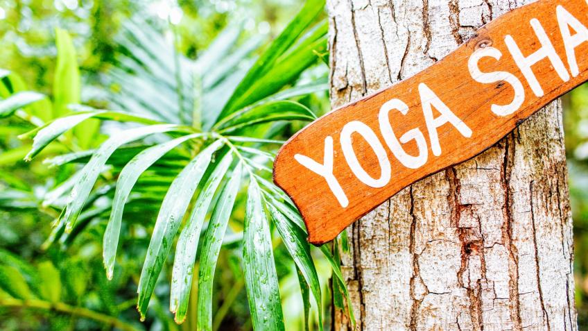 LION YOGA - new yoga studio near Chipping Norton