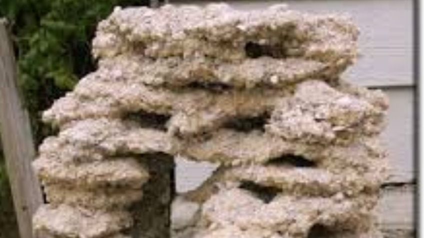 Reef And Rocks Build