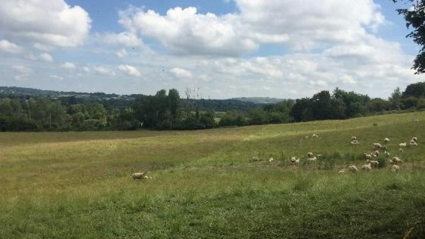 Seend - Avon Needs Trees' Second Land Purchase