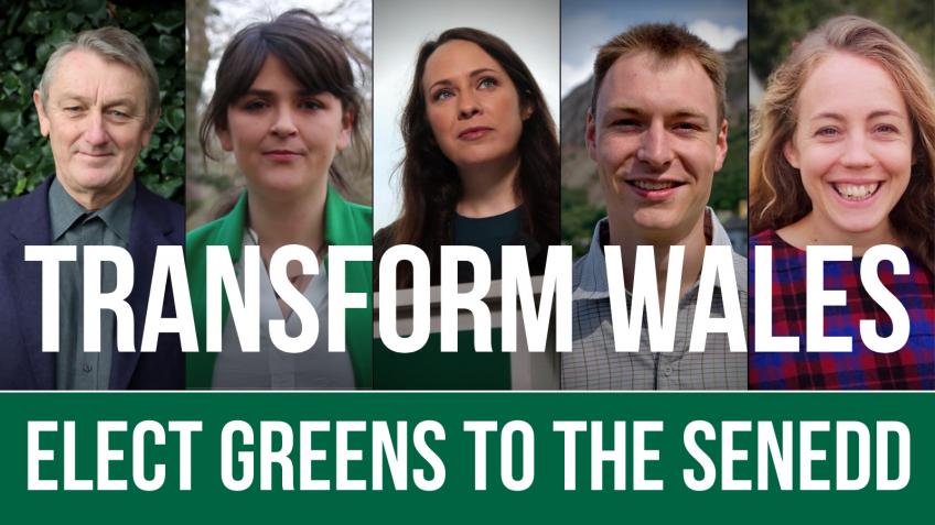 Let's turn the Senedd Green