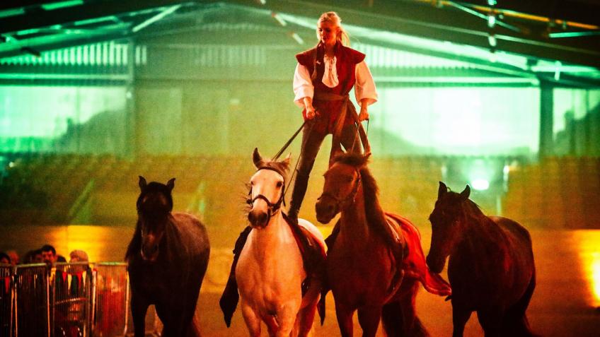 South West Iberian Show FUNDRAISER