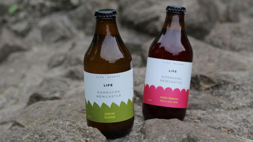 Help us build our Kombucha brewery in Newcastle