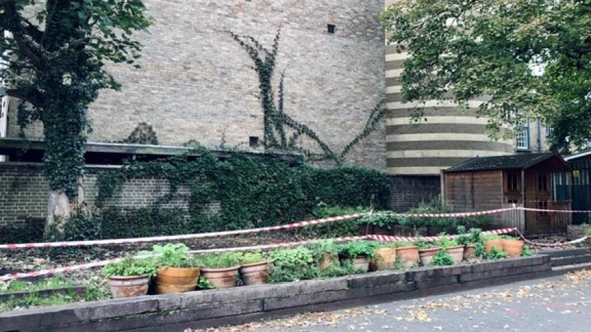 Outdoor Classrooms