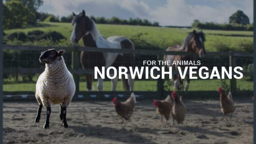 The Norwich Vegans Café and Meeting space
