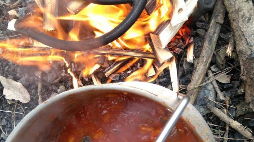 Curious and Wild Soup