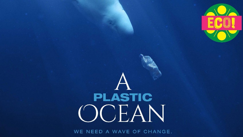 A Plastic Ocean film tour Pop-Up Cinema Dorset