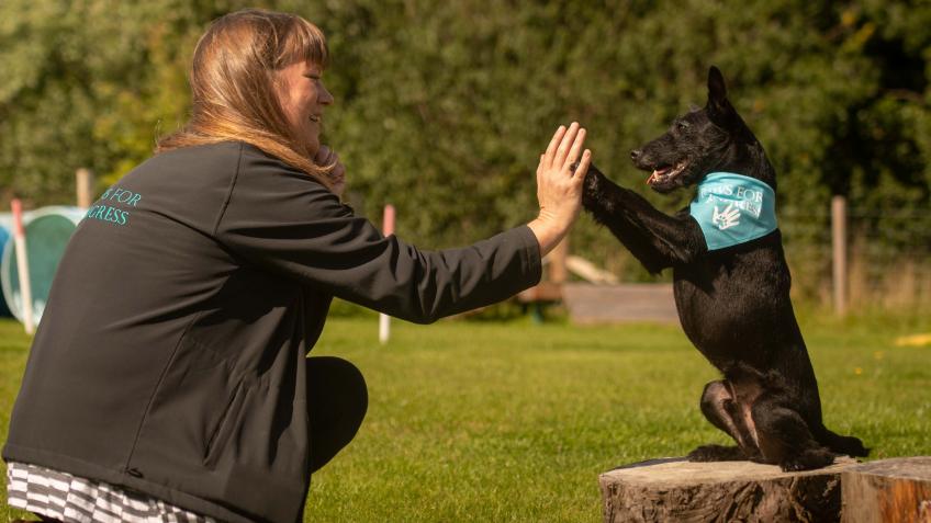 Dogs helping young people to build a better future
