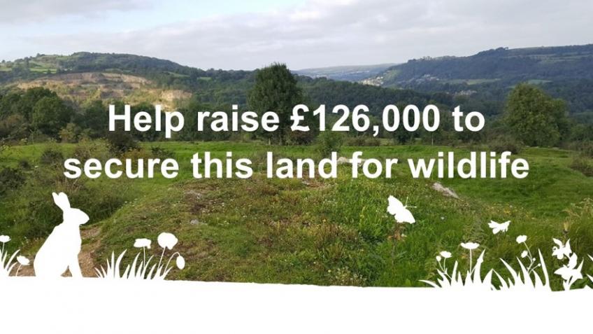 Help raise £126,000 to secure land for wildlife