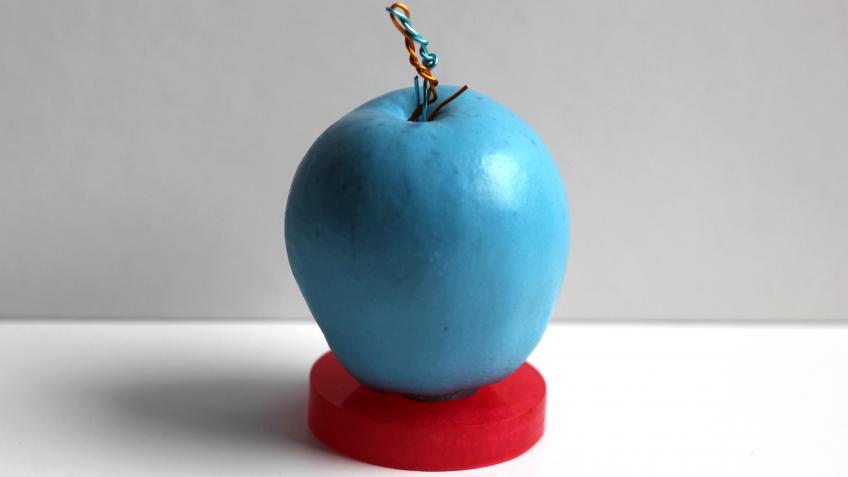 My Dad's Apple