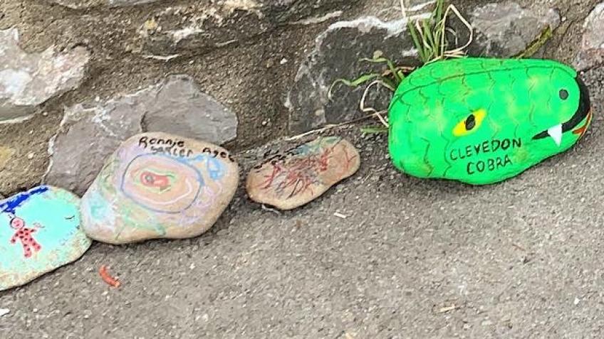 Clevedon Cobra
