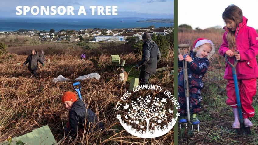 Sponsor a Tree - support our projects