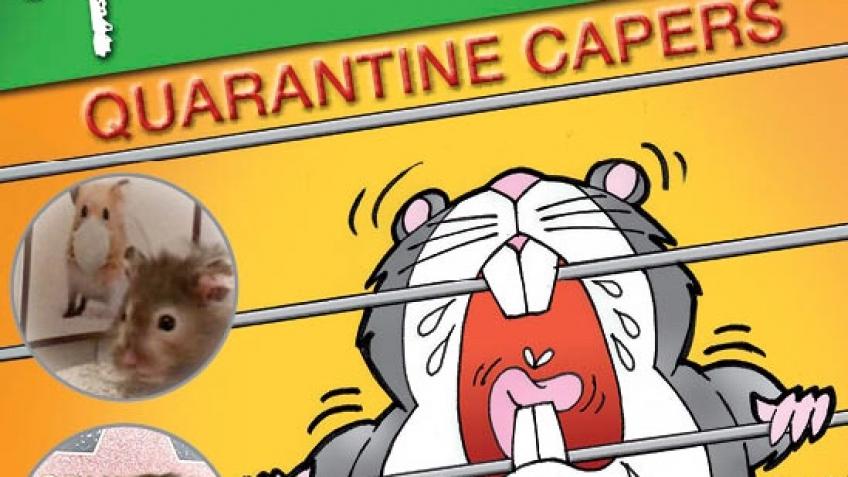 Spudlife 2020: Quarantine Capers