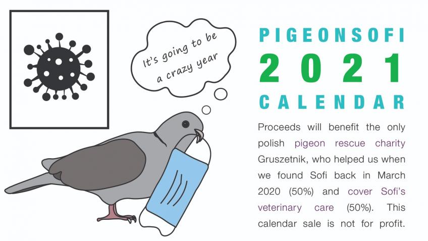 Pigeon Sofi CHARITY 2021 CALENDAR sale