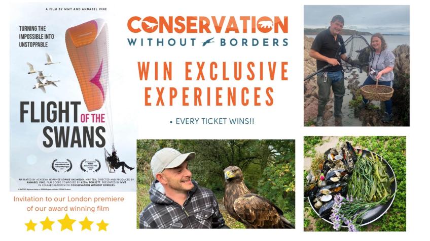 Win exclusive experiences in our prize draw