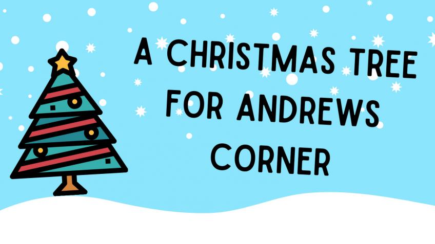 A Christmas Tree at Andrews Corner