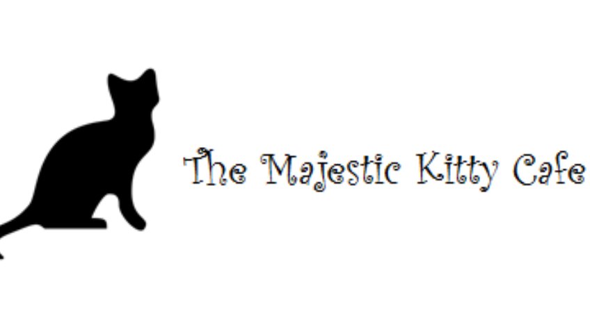 Cat Cafe in Northampton a Social Enterprise Cat Cafe in Northampton a Social Enterprise