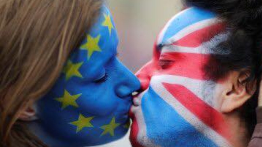 Pro-EU leaflets for marches/protests and website