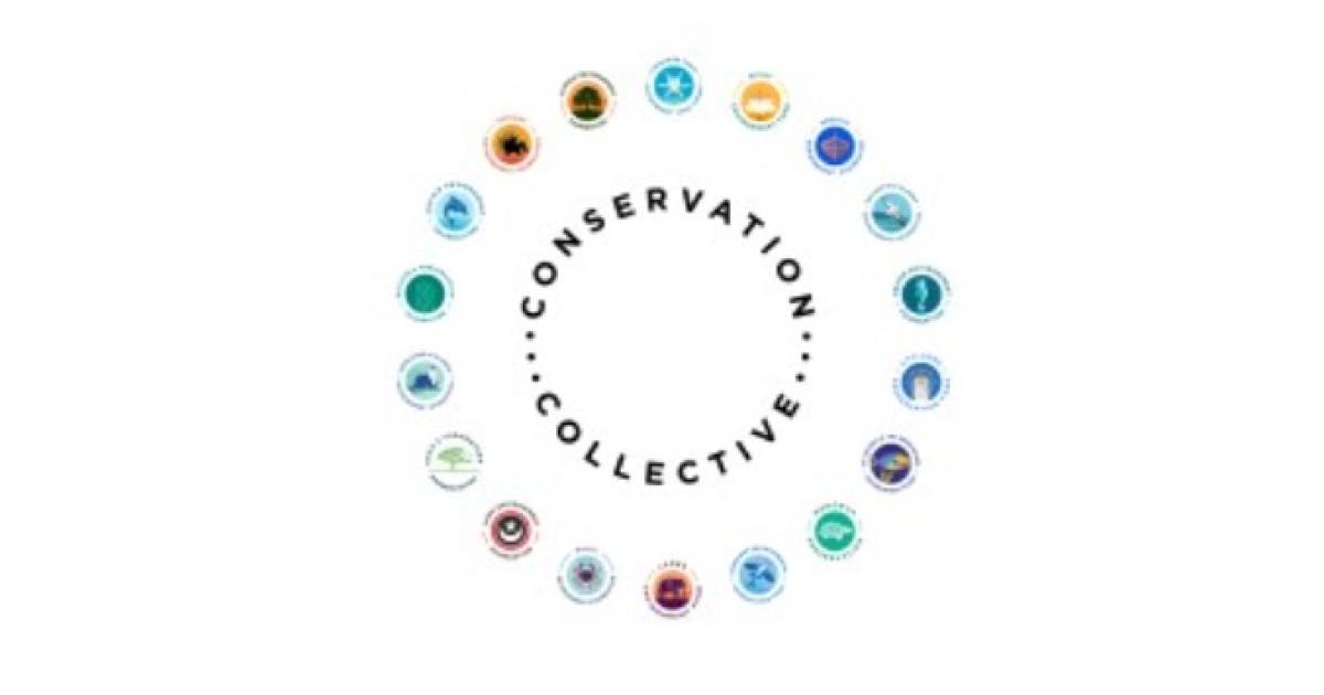 Conservation Collective | Crowdfunder.co.uk