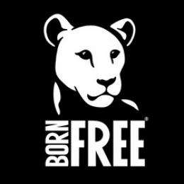 Wild Animals In Captivity - Born Free