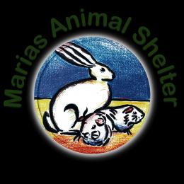 Marias Animal Shelter - a Charities crowdfunding project in Truro by  