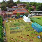 Elmbridge Community Eco Hub avatar