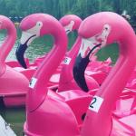 Pedalo to space! avatar