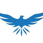 Team Falcon avatar
