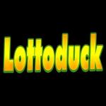 lottoduck avatar