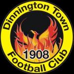 Dinnington Town Football Club U7's avatar