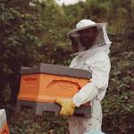 Bees & Refugees Farm Project avatar