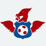 Liverpool Homeless Football Club avatar