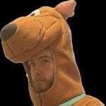 The Doo avatar